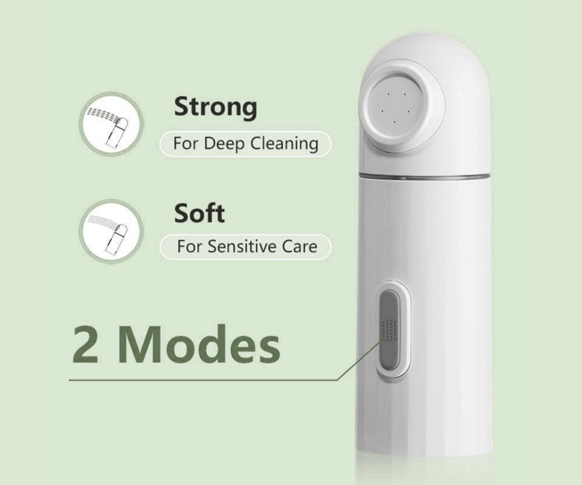 Electric Bidet