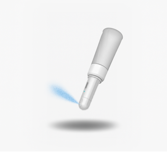 Electric Bidet